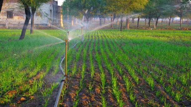 Irrigation Technology